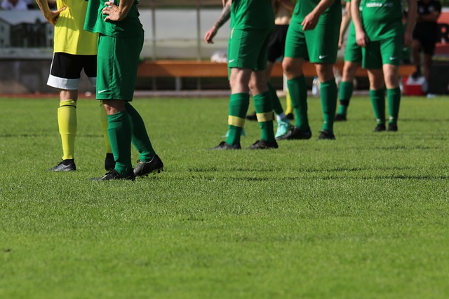 以及促进团 以及促进团