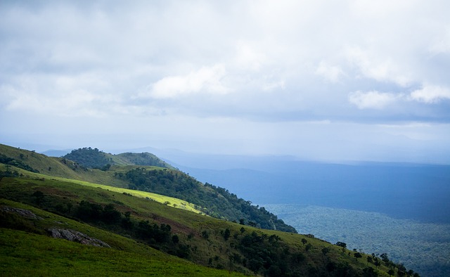 前后场的经 前后场的经