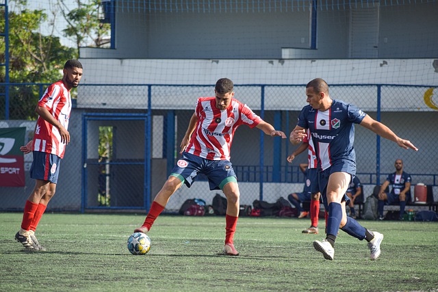 的成功并非 的成功并非