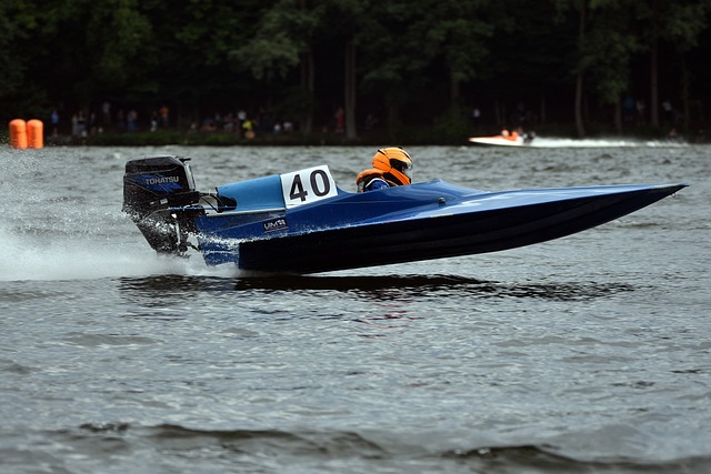 球迷之间的 球迷之间的