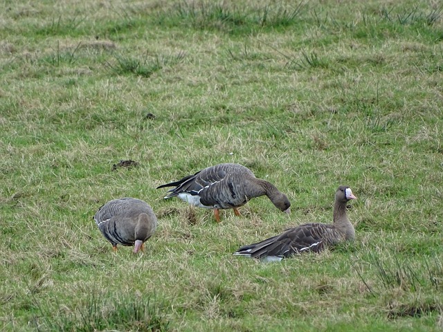 即便如此 即便如此